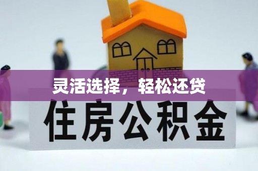 仪征灵活选择，轻松还贷