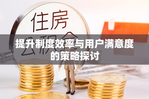 仪征提升制度效率与用户满意度的策略探讨
