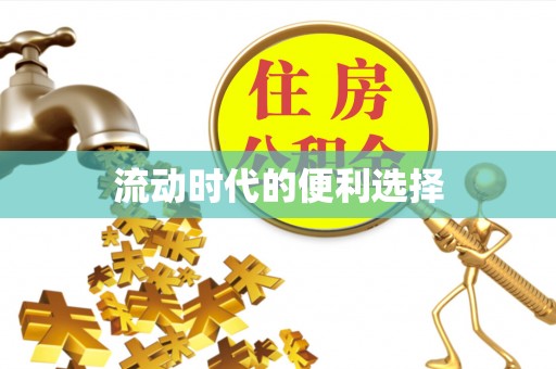 仪征流动时代的便利选择