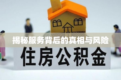 仪征揭秘服务背后的真相与风险