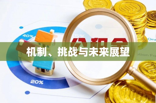 仪征机制、挑战与未来展望